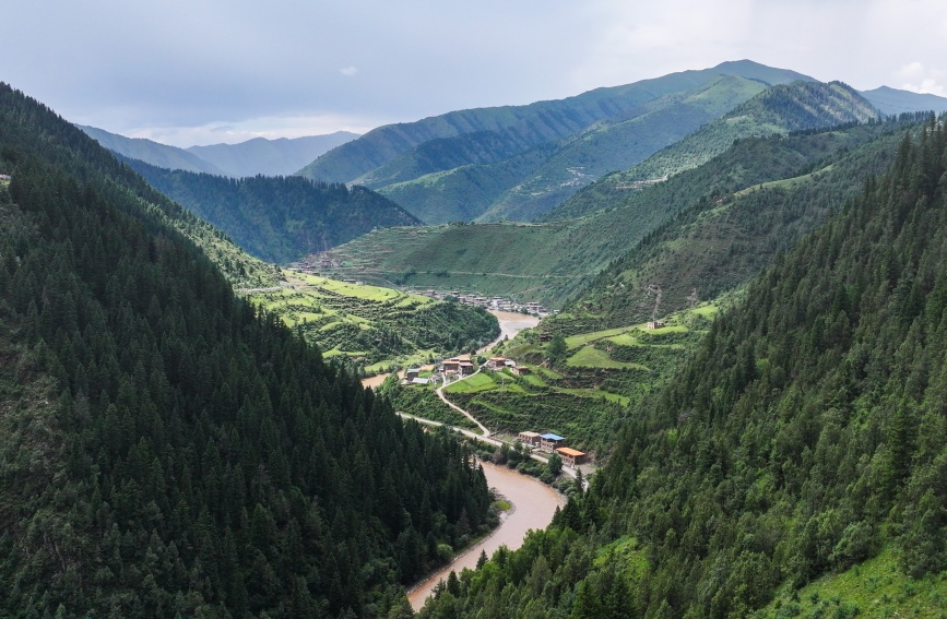 瑪可河林區(qū)。薛蒂攝