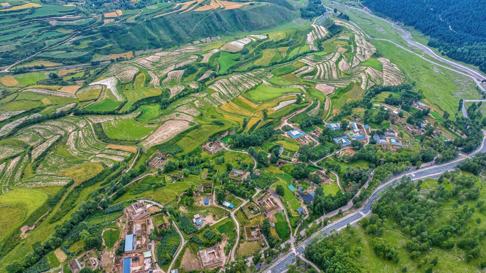 漫山樹(shù)木褪去盛夏濃綠。宋忠勇攝