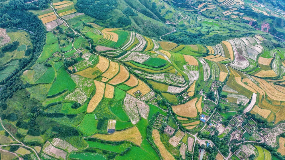 漫山樹木褪去盛夏濃綠。宋忠勇攝
