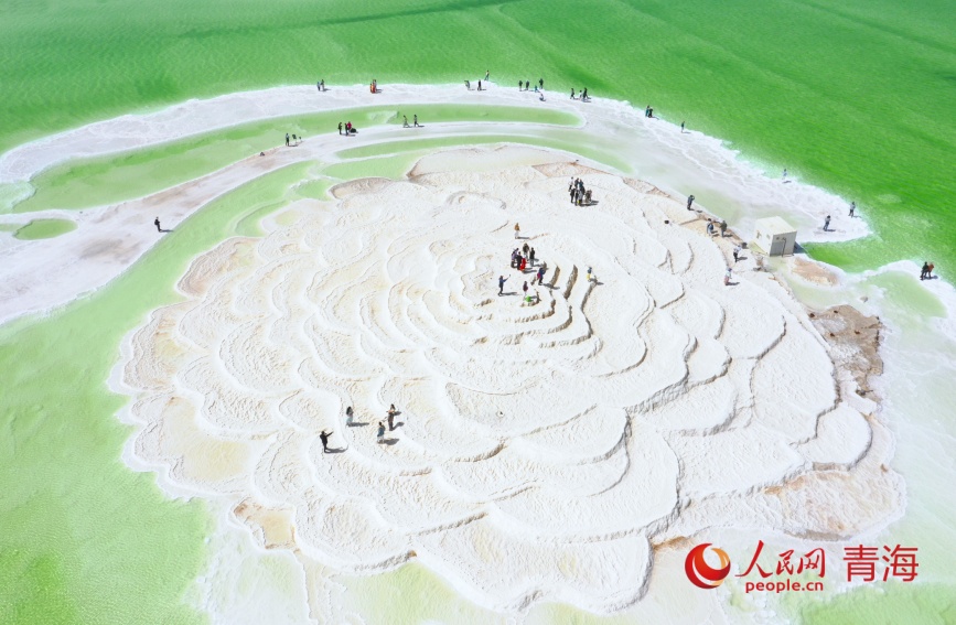 察爾汗鹽湖大鹽花。人民網(wǎng)記者 張力洋攝