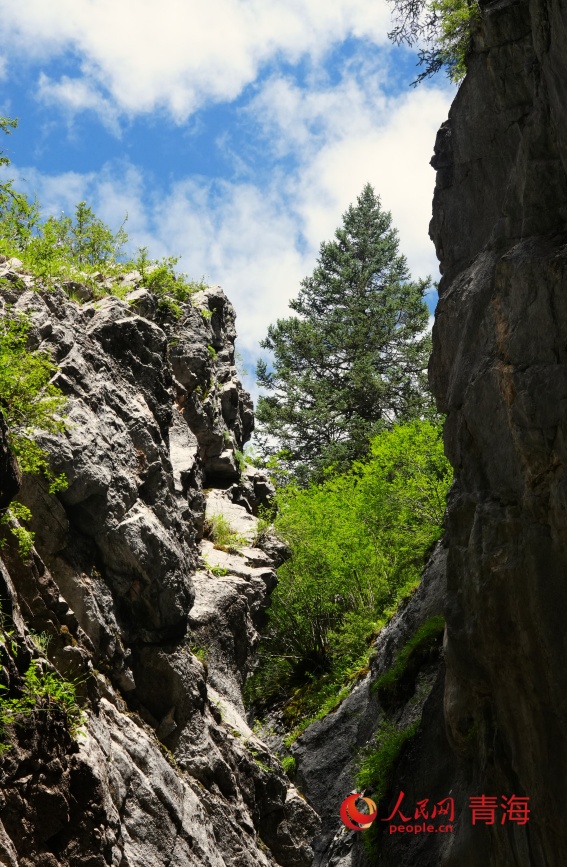 尕爾大峽谷風(fēng)光。人民網(wǎng)記者 甘海瓊攝