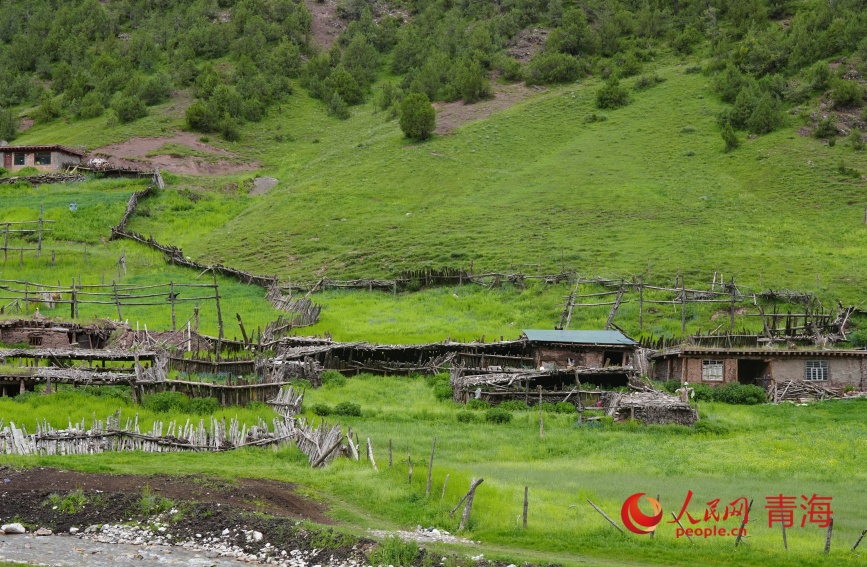 尕爾大峽谷高山牧場(chǎng)。人民網(wǎng)記者 甘海瓊攝