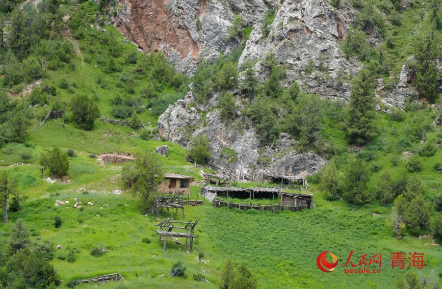 高山牧場(chǎng)。人民網(wǎng)記者 甘海瓊攝