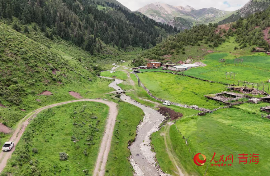 高山牧場(chǎng)風(fēng)光。人民網(wǎng)記者 甘海瓊攝