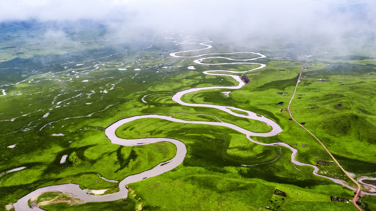生態(tài)澤庫(kù)