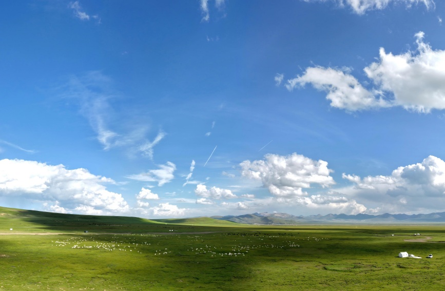 初秋的祁連山草原。安雪姣攝