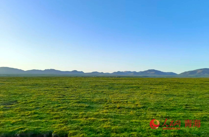 祁連山草原。人民網(wǎng)記者 甘海瓊攝