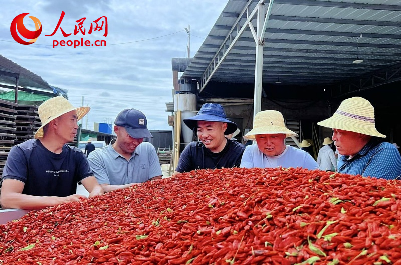 格爾木枸杞交易市場。人民網(wǎng) 顧斐菲攝