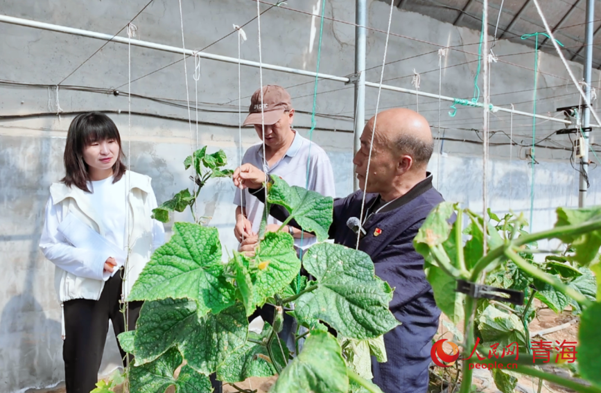 科技特派員傳授管理要點(diǎn)。人民網(wǎng)記者 甘海瓊攝