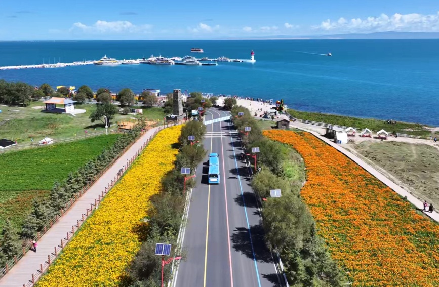 青海湖秋日限定色。湖旅集團供圖