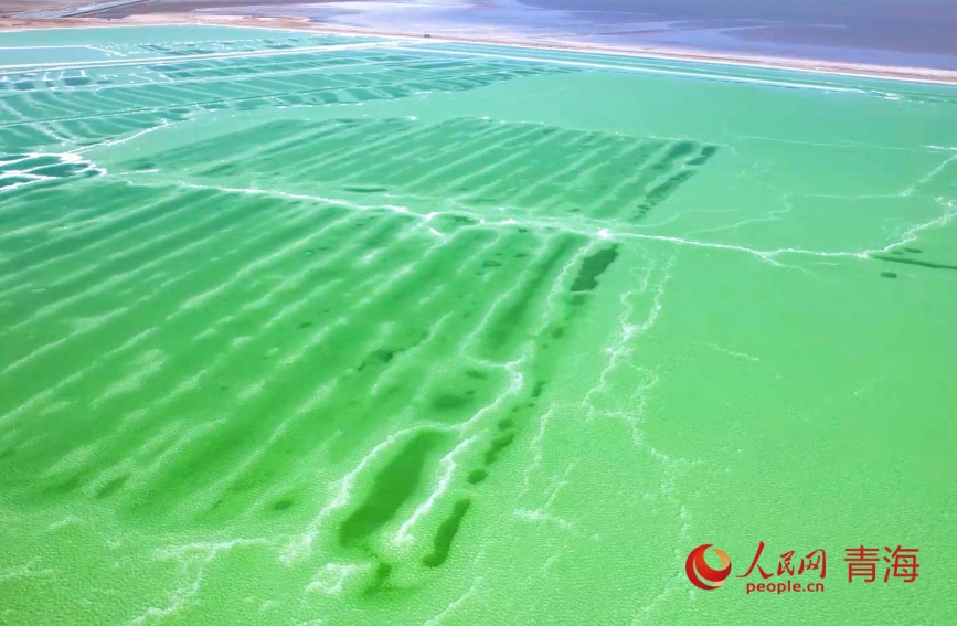 秋日的察爾汗鹽湖。人民網(wǎng)記者 甘海瓊攝