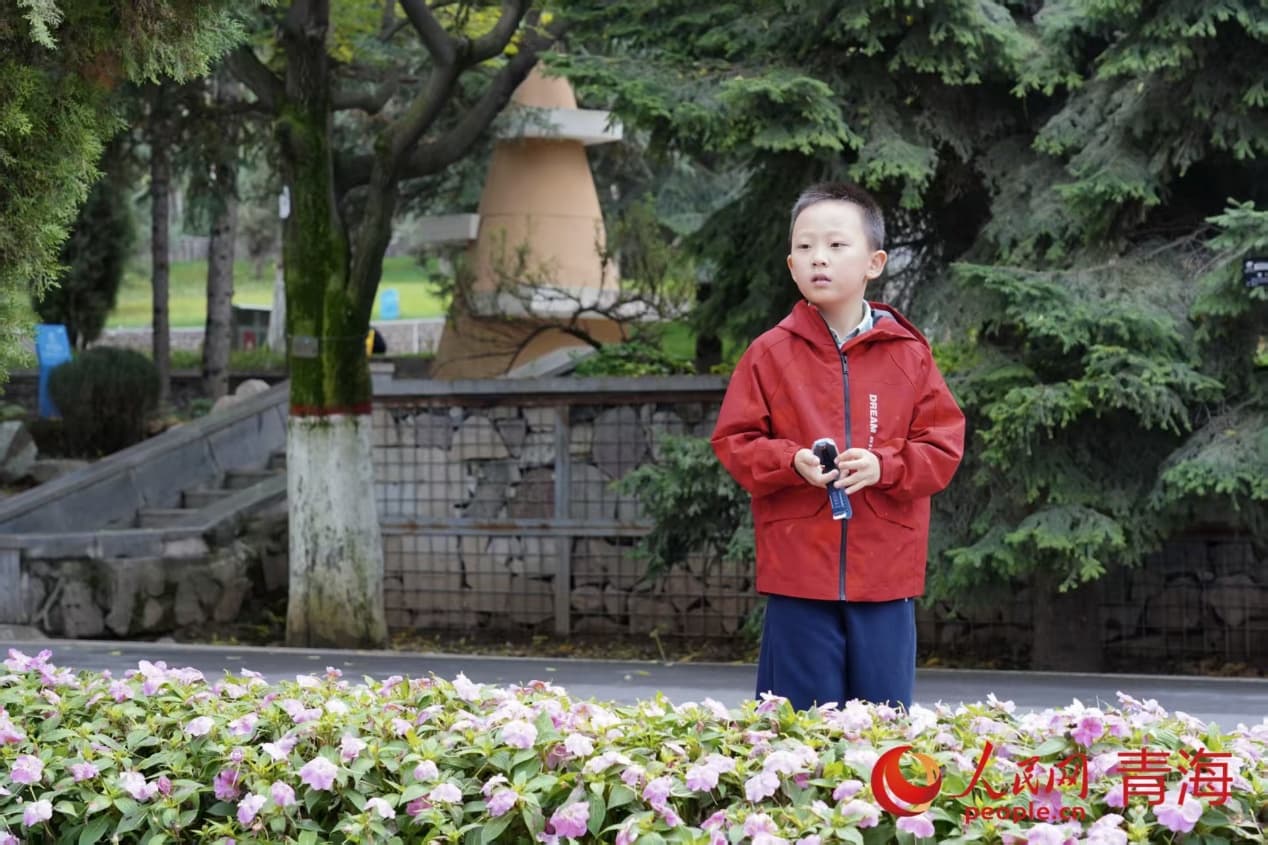 凝望秋光。實習生 孟啟昇攝