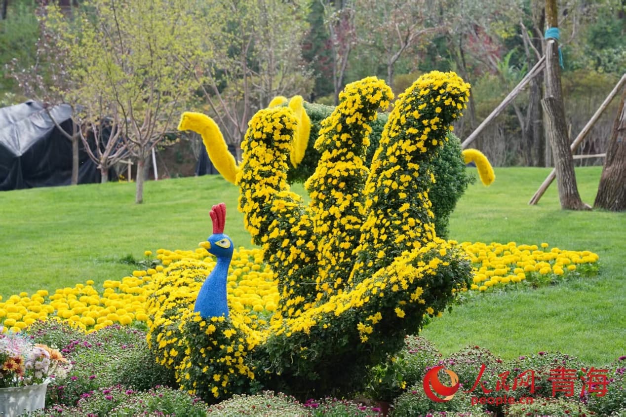 巧手匠心，菊綻生靈。實習生 孟啟昇攝