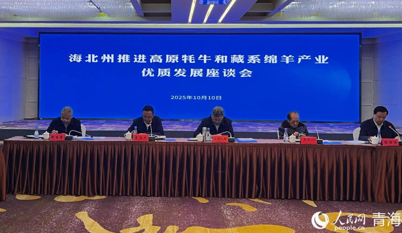 座談會(huì)現(xiàn)場(chǎng)。實(shí)習(xí)生 馬司宇攝