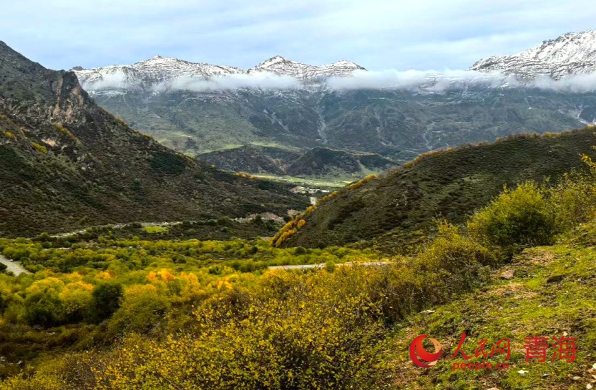 秋色浸染群加。人民網(wǎng)記者 甘海瓊攝