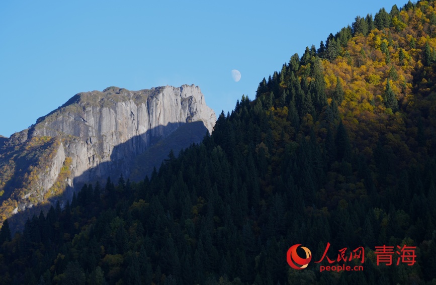 群加秋色。人民網(wǎng)記者 甘海瓊攝