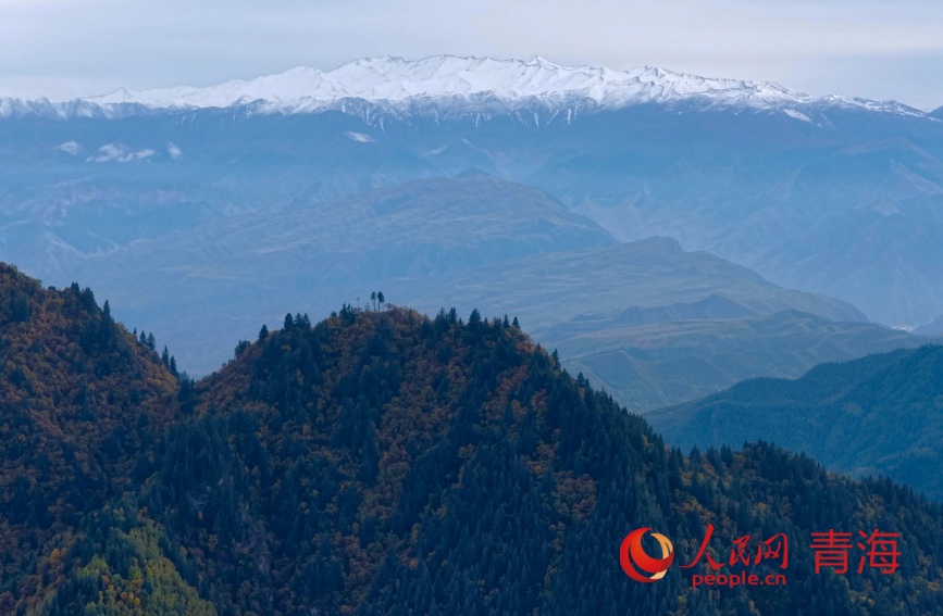 秋色浸染群加。人民網(wǎng)記者 甘海瓊攝