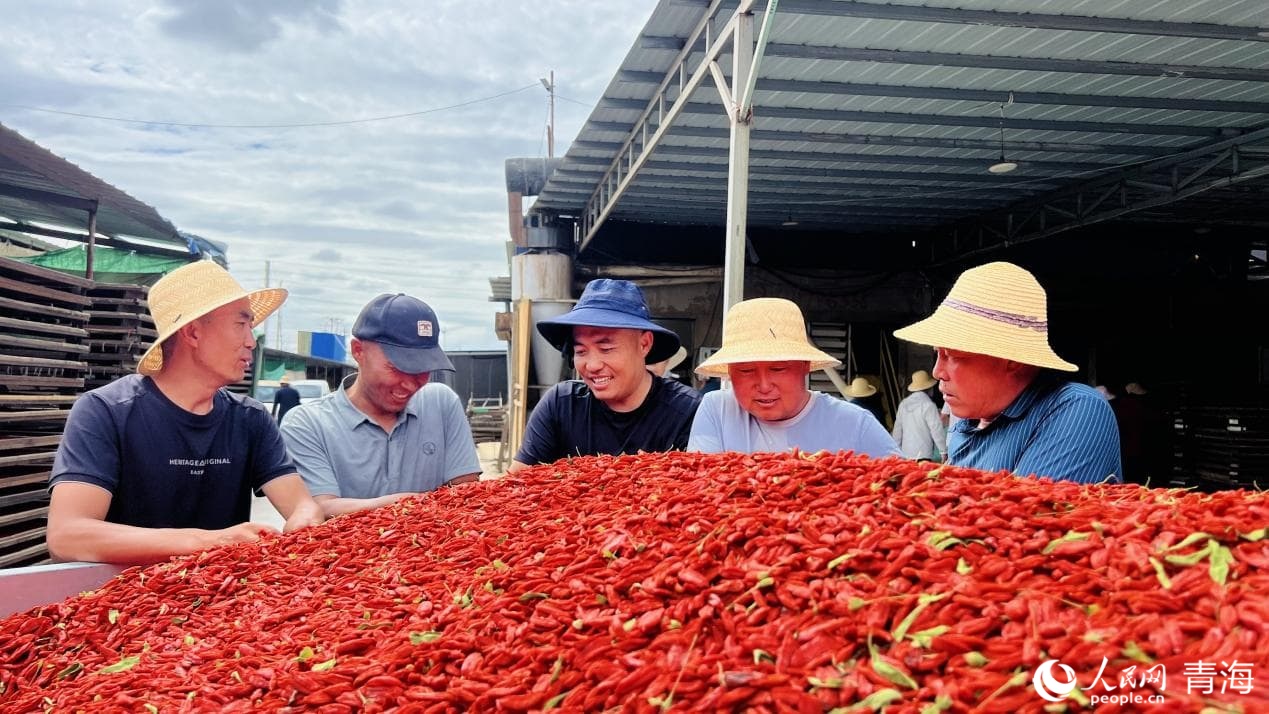 格爾木某枸杞交易市場(chǎng)內(nèi)。人民網(wǎng) 顧斐菲攝