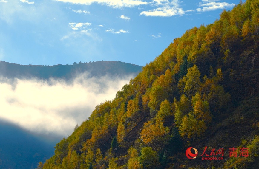 班瑪秋色。人民網(wǎng)記者 甘海瓊攝