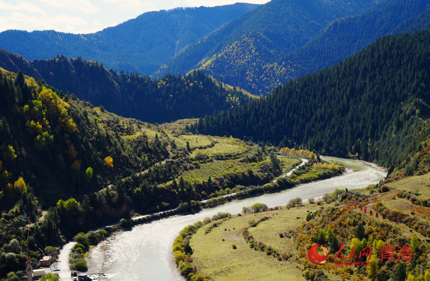 瑪可河流過林區(qū)。人民網(wǎng)記者 甘海瓊攝