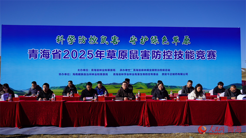 競賽現(xiàn)場。人民網(wǎng) 顧斐菲攝