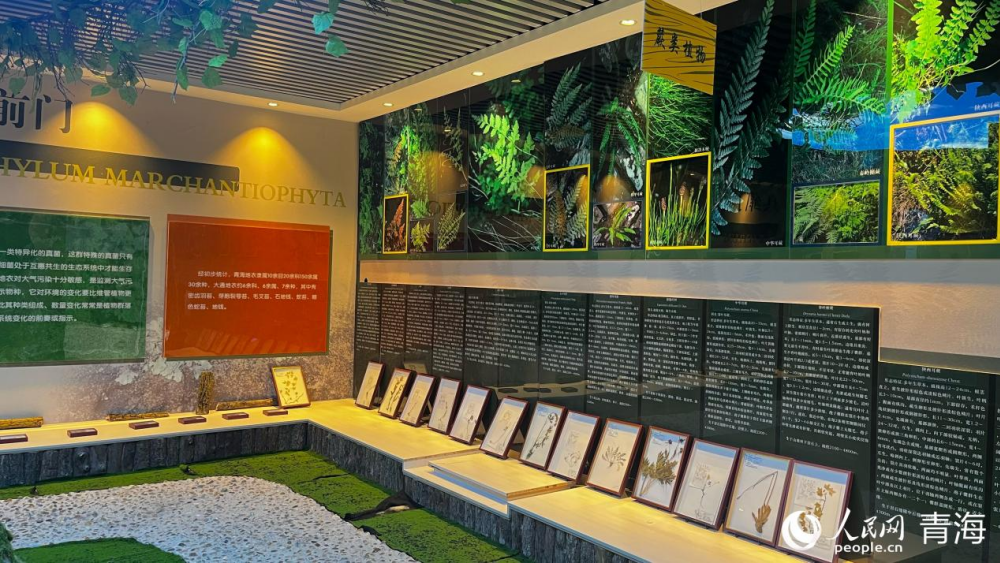 察汗河森林公園生物多樣性科普實驗教育基地。實習生 馬司宇攝