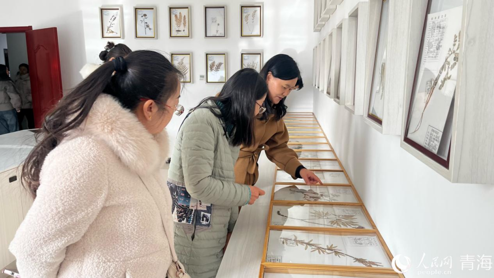 與會代表參觀研究各類標本。實習生 馬司宇攝