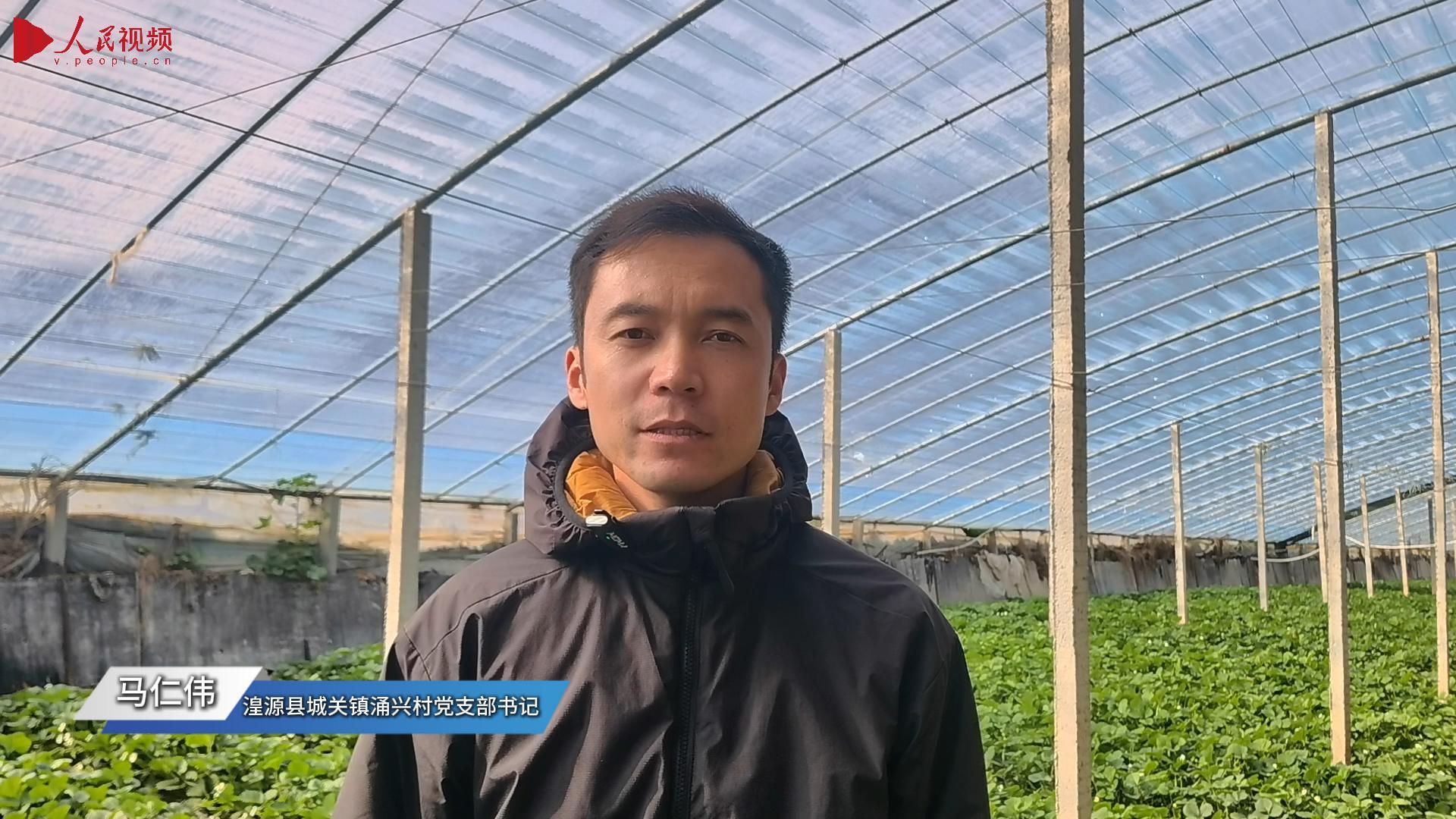 湟源草莓“搶鮮”上市