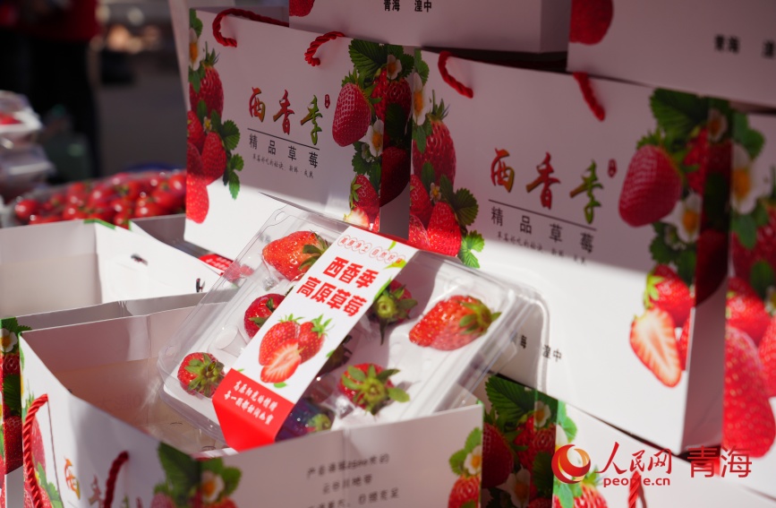 湟中草莓。人民網(wǎng)記者 甘海瓊攝