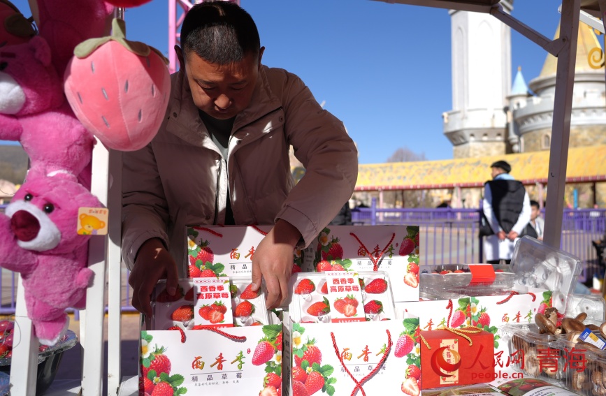 湟中草莓。人民網(wǎng)記者 甘海瓊攝