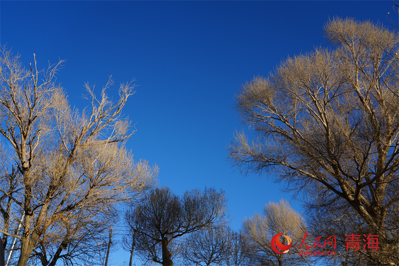 格爾木將軍樓公園冬日景色。人民網(wǎng) 馬可欣攝