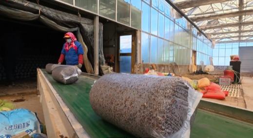 海西格爾木：讓戈壁灘飄起煙火氣