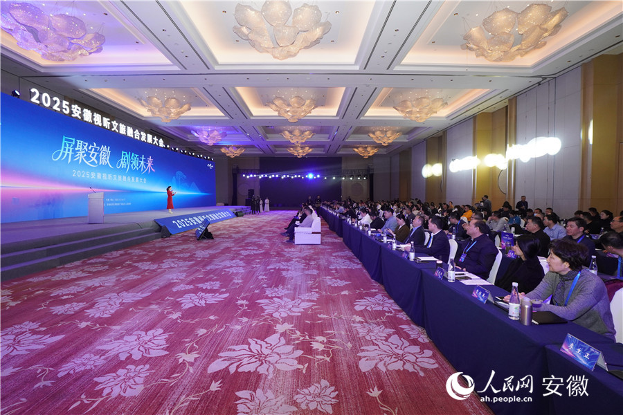 2025安徽視聽文旅融合發(fā)展大會(huì)現(xiàn)場。人民網(wǎng)記者 陳若天攝