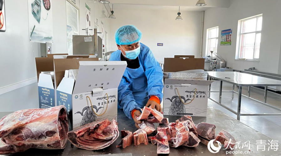 村集體企業(yè)工作人員正在加工打包唐古拉藏羊肉。實習(xí)生 馬司宇攝