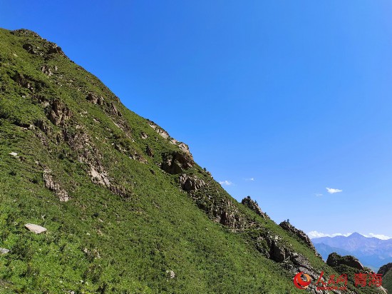 巍巍祁連山。人民網(wǎng)記者 張莉萍攝